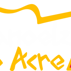logo oficial